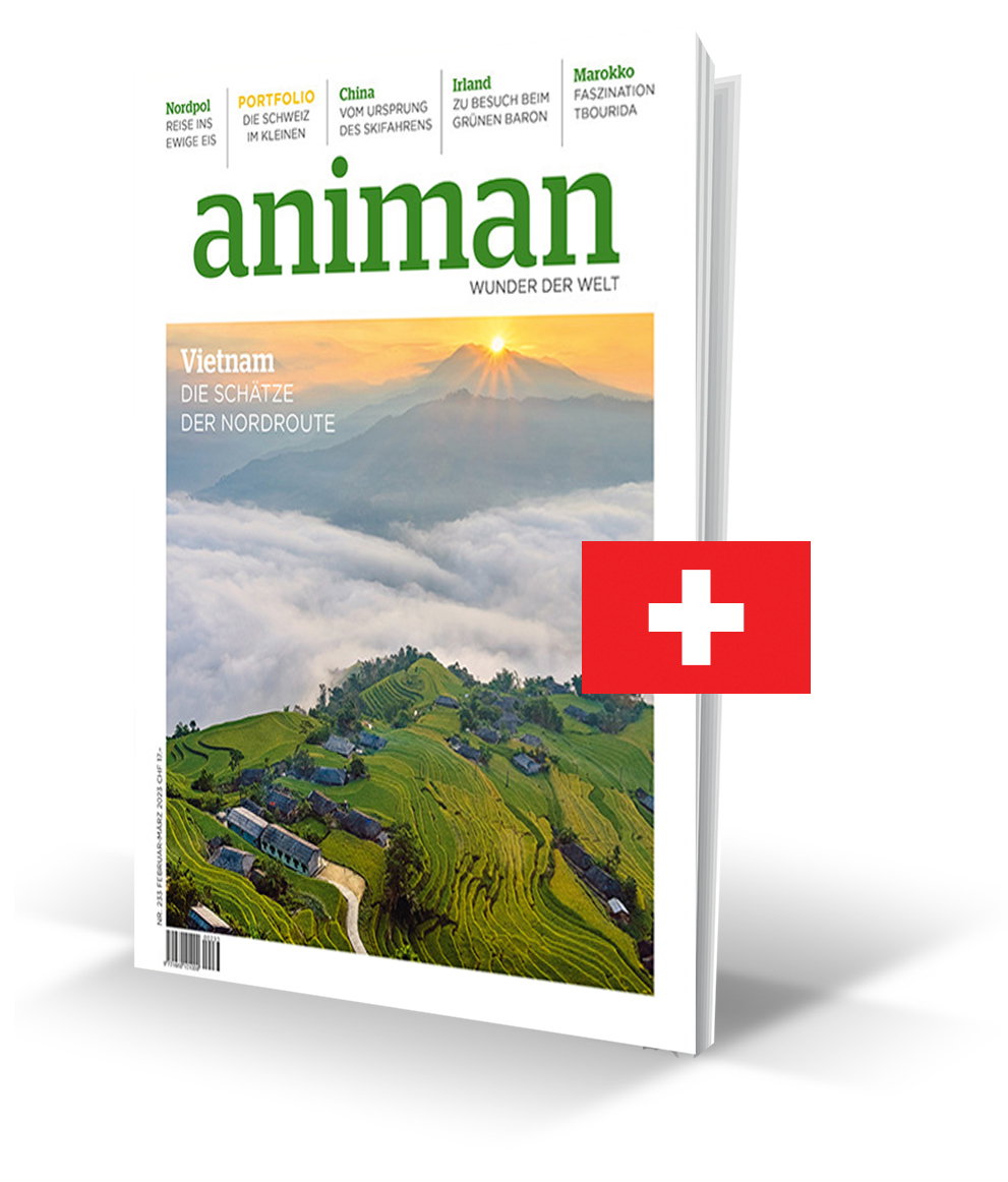 Animan