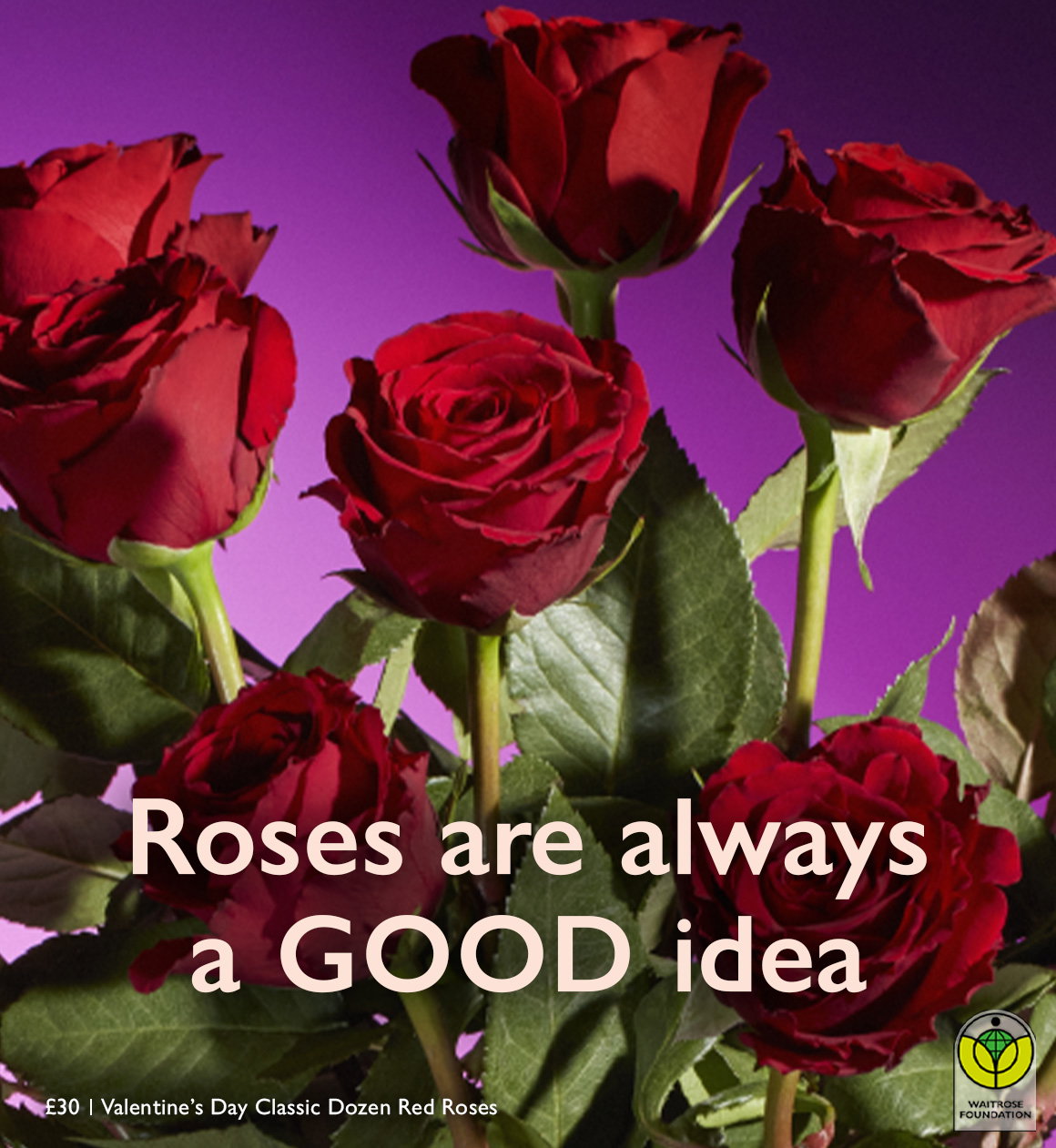 The Valentine’s Day Classic Dozen Red Roses