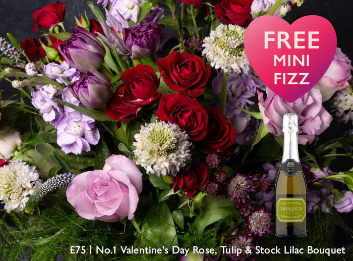 No.1 The Valentine’s Day Rose, Tulip & Stock Lilac Bouquet
