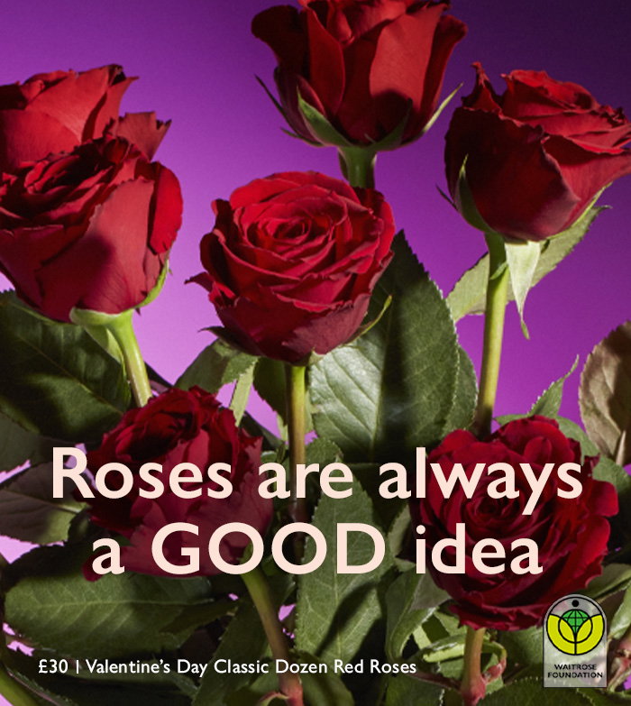 The Valentine’s Day Classic Dozen Red Roses