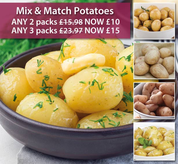 Thompson & Patio Potato Kit ONLY £6 Milled