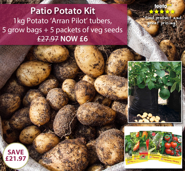 Thompson & Patio Potato Kit ONLY £6 Milled