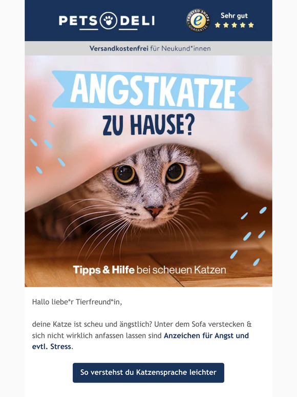 Deine Mieze ist ängstlich?