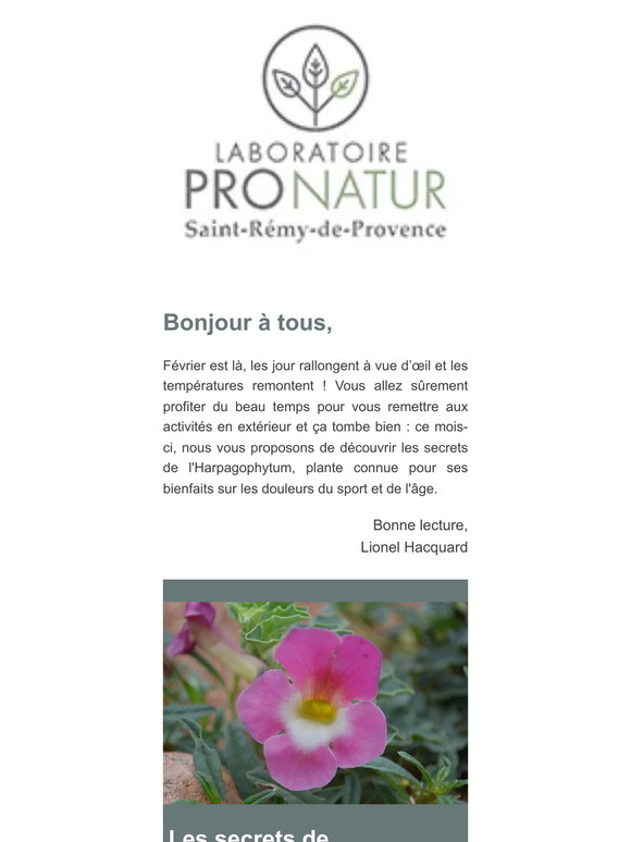 Les secrets de l'Harpagophytum 🌸