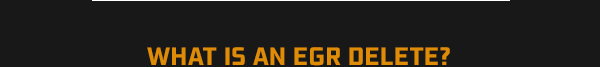 WHAT IS AN EGR DELETE?