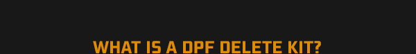 WHAT IS A DPF DELETE KIT?