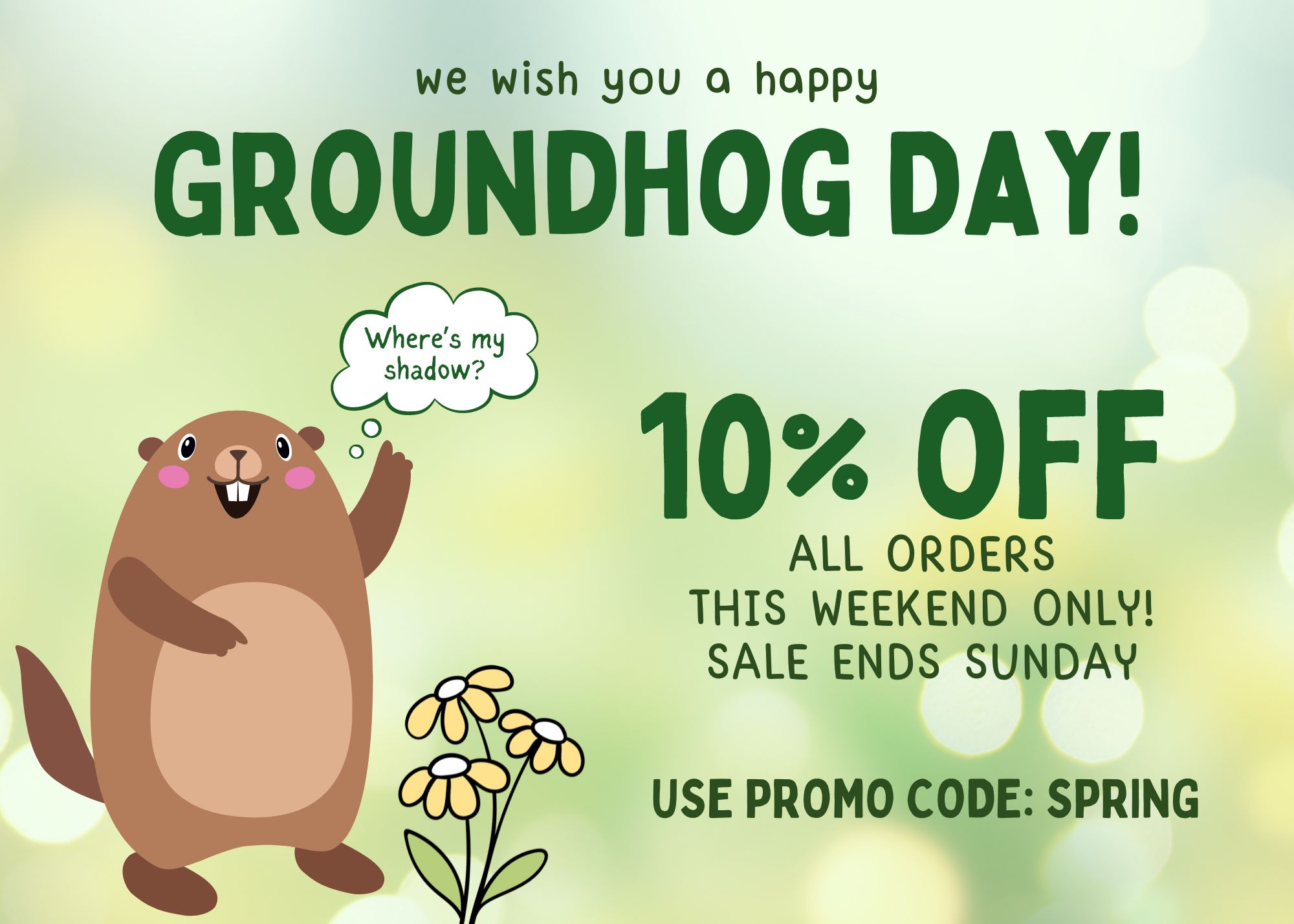 groundhog day sale