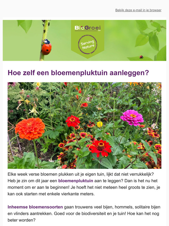 🐞 Onze nieuwe anti-trips kweekzakjes! | Tuintips februari