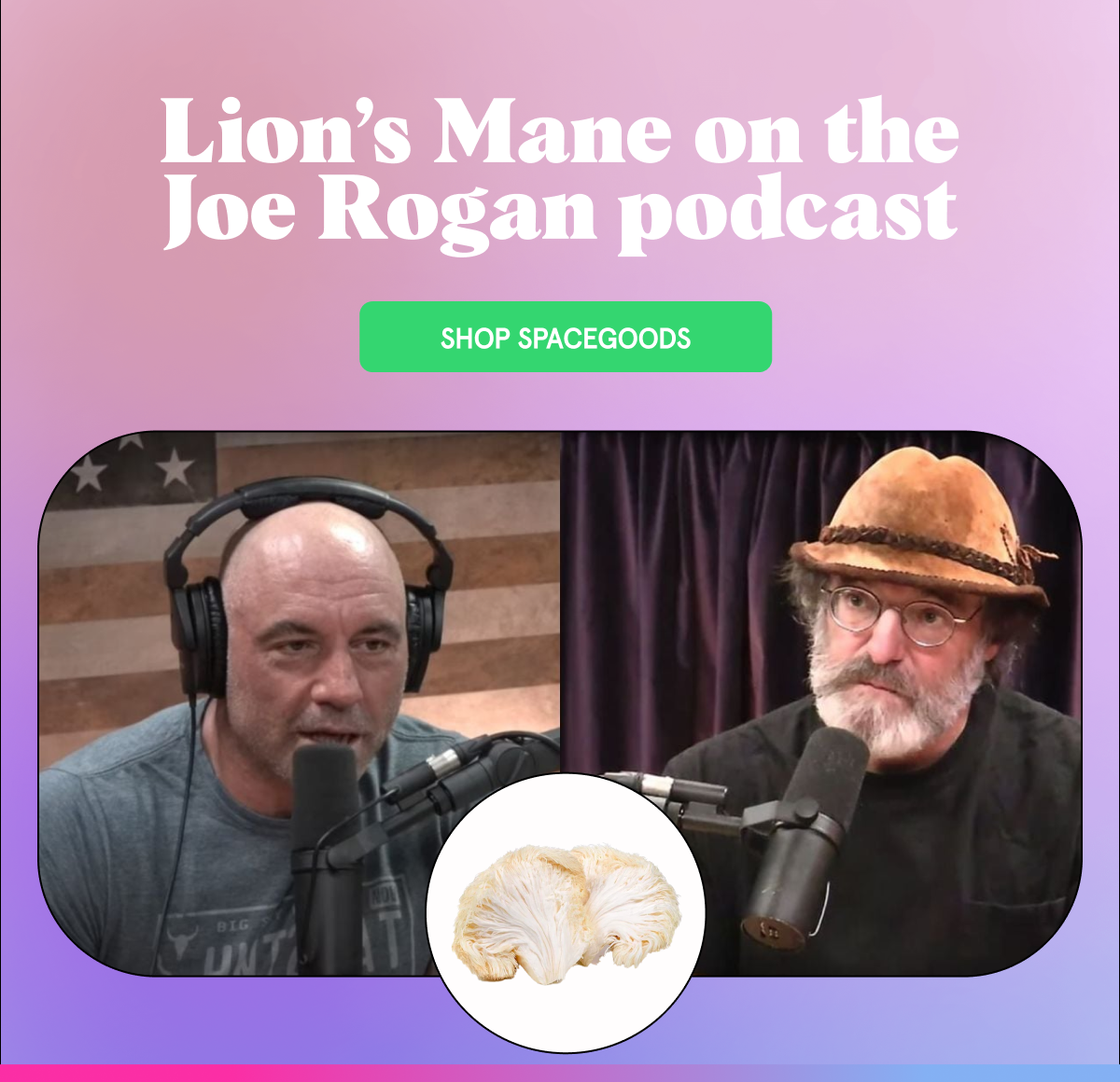 Lion’s Mane on the Joe Rogan podcast