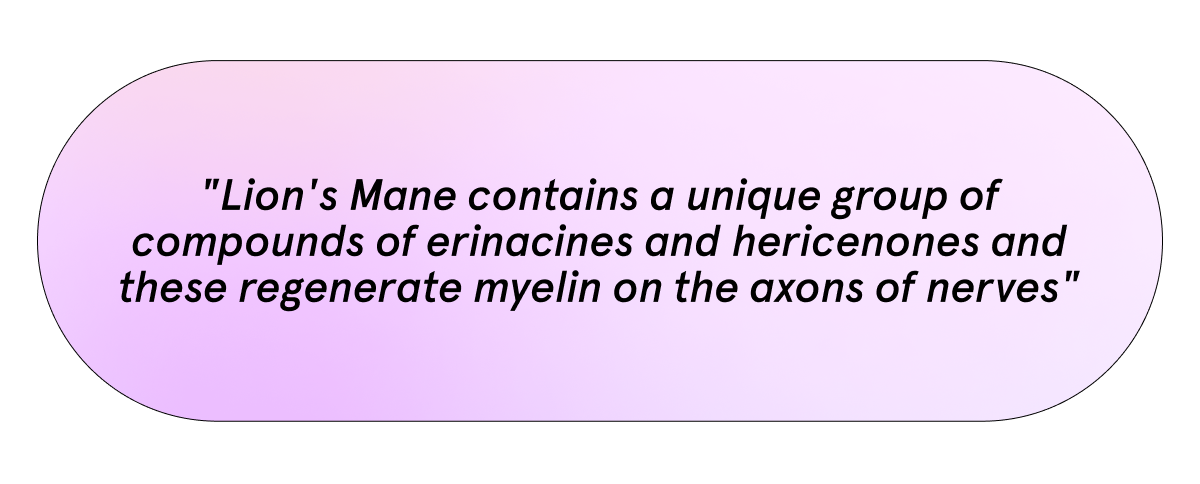 Lion Mane ingredients