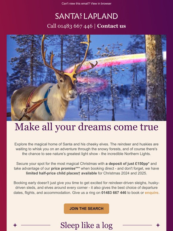 Make your festive dreams come true