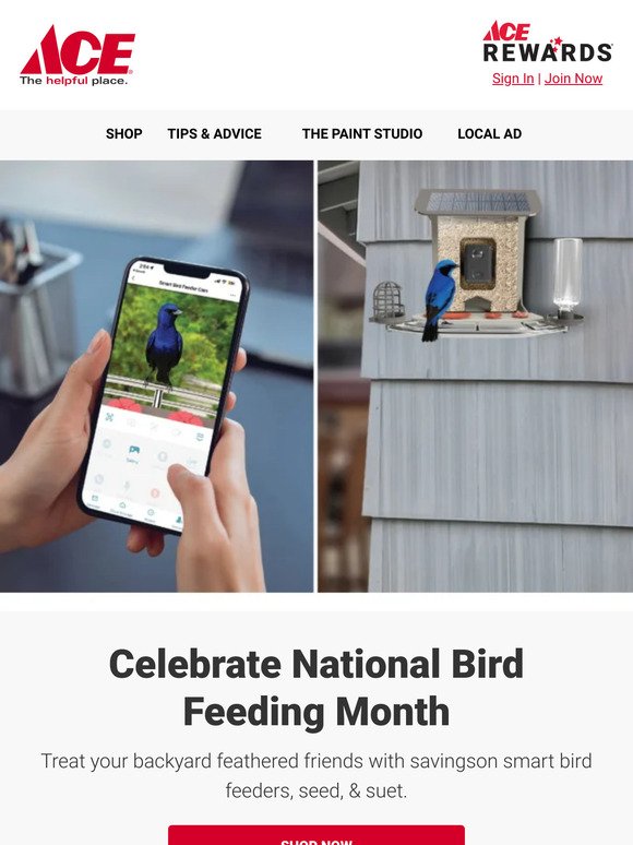 Celebrate National Bird Feeding Month with Savings!