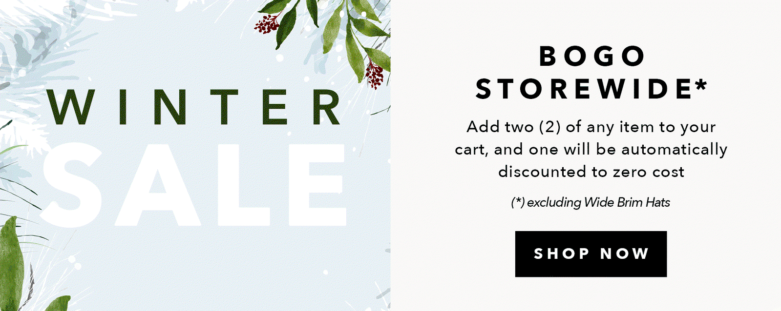 BOGO Storewide