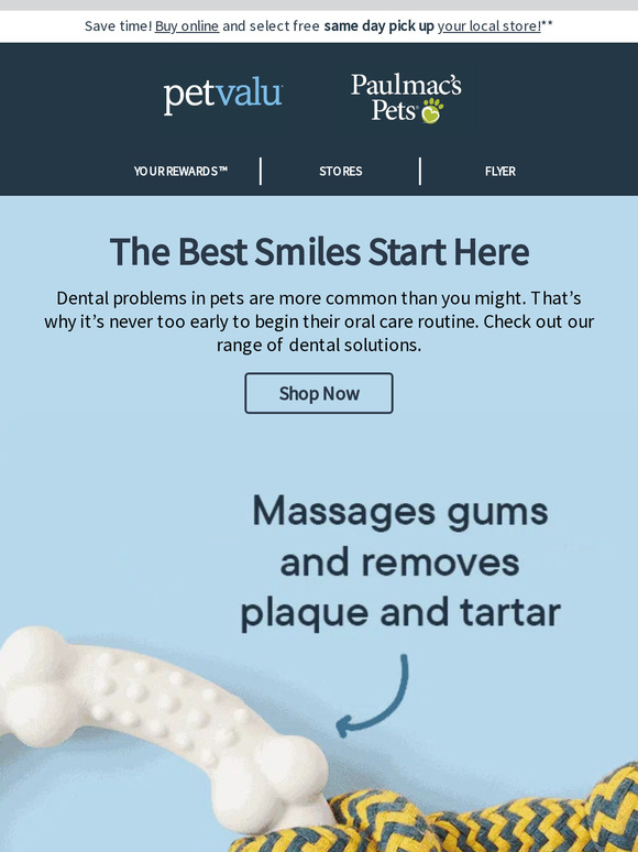 Pet Valu US Here’s how Pet Dental Health Month brings smiles Milled