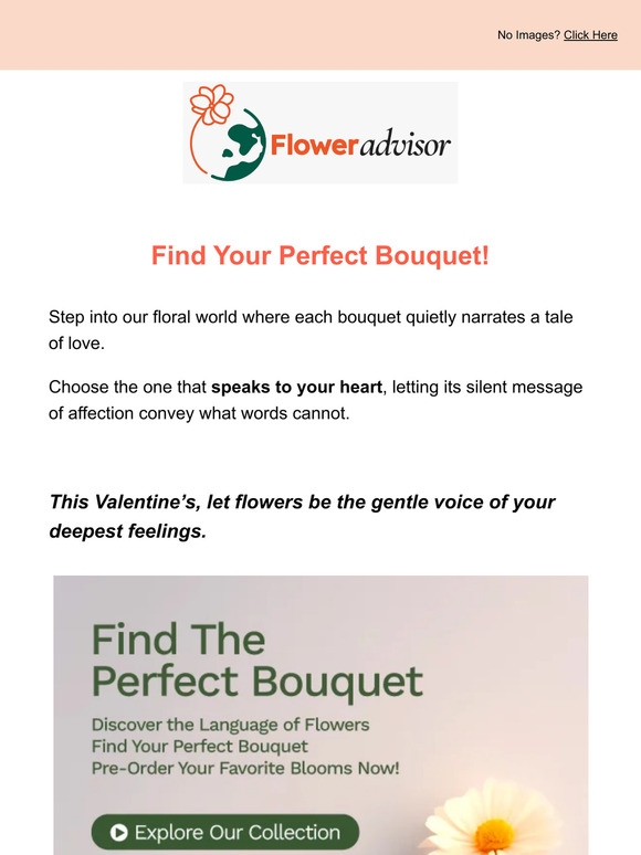 Valentine's Perfect Bouquet: Discover Love's Gifts!🎁