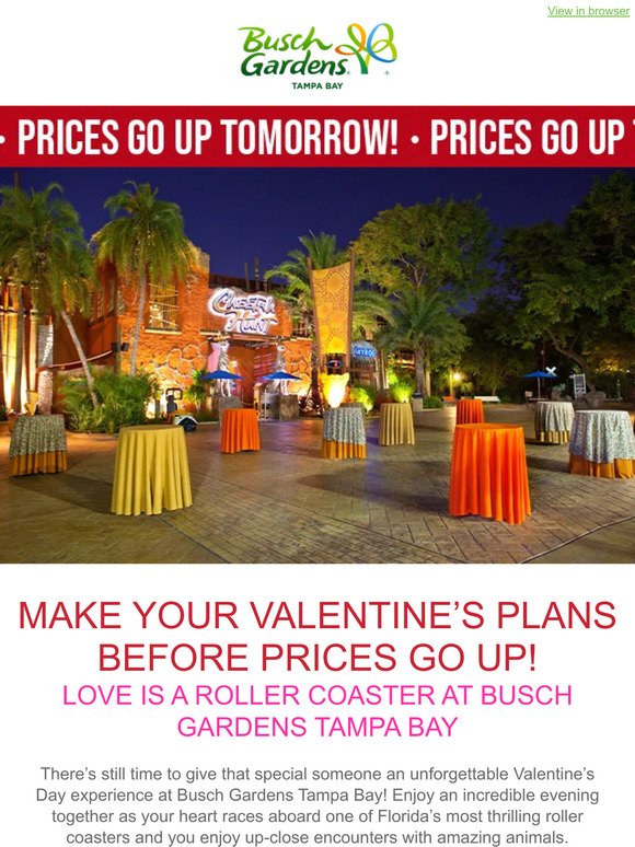❤️ Make Your Valentine’s Plans Before Prices Go Up!