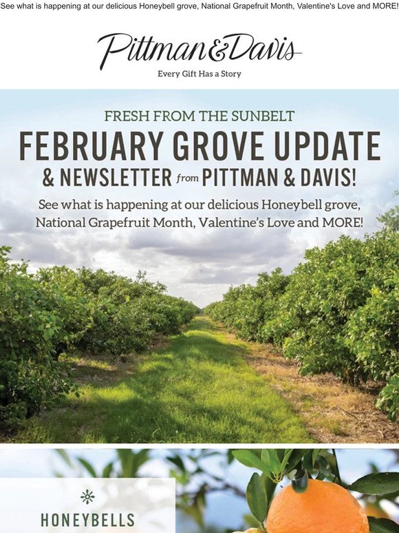 Fresh from the Sunbelt February Grove Update & Newsletter!