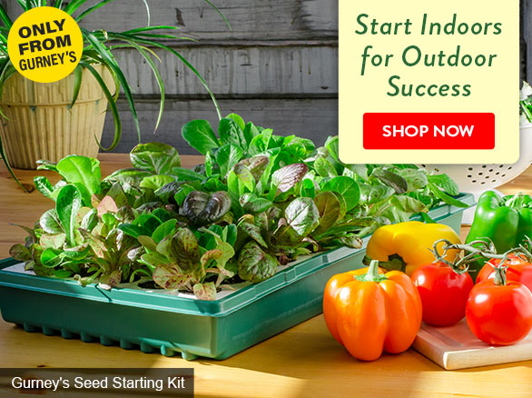 Save $25, $50 or $100 on orders of $50, $100 or $200+