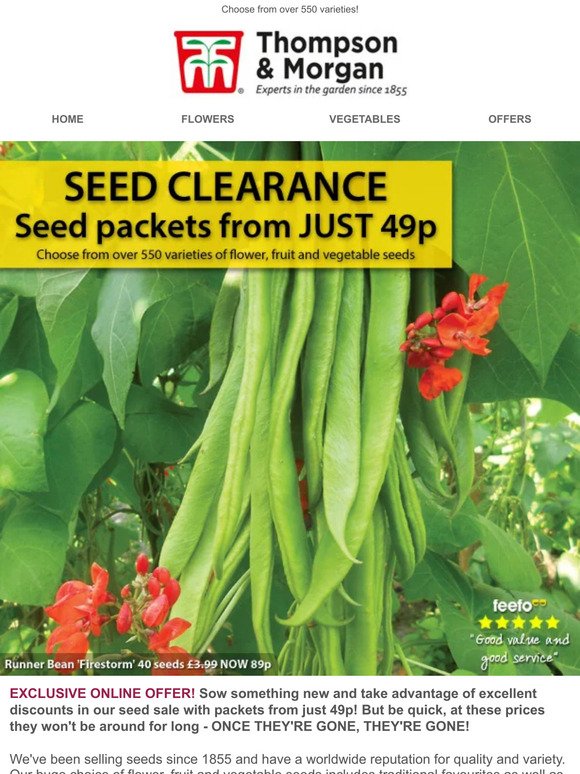 SEED CLEARANCE - from only 49p a packet! 48 HOURS!