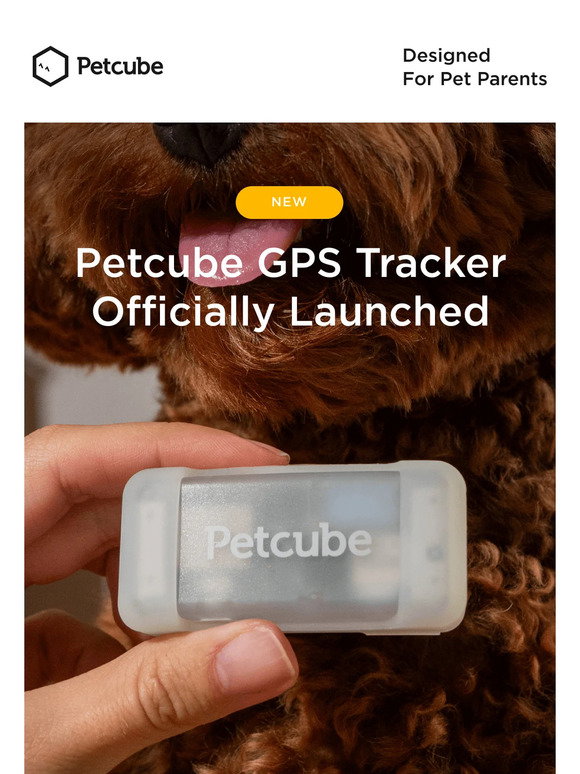 Petcube: 🎉 [IT'S OFFICIALLY OUT] Petcube GPS Tracker: Smart Pet ...
