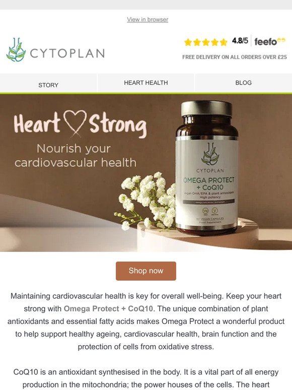 Heartbeat Harmony – nourish your cardiovascular health