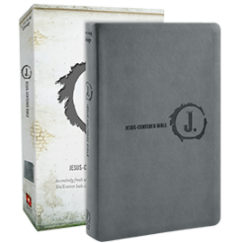 Jesus-Centered Bible NLT, Charcoal