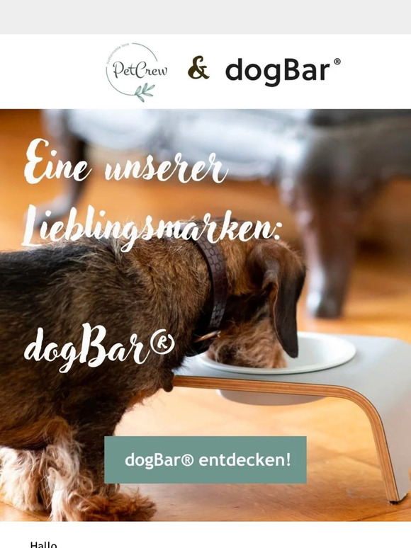 , das ist eine unserer Lieblingsmarken 🤩