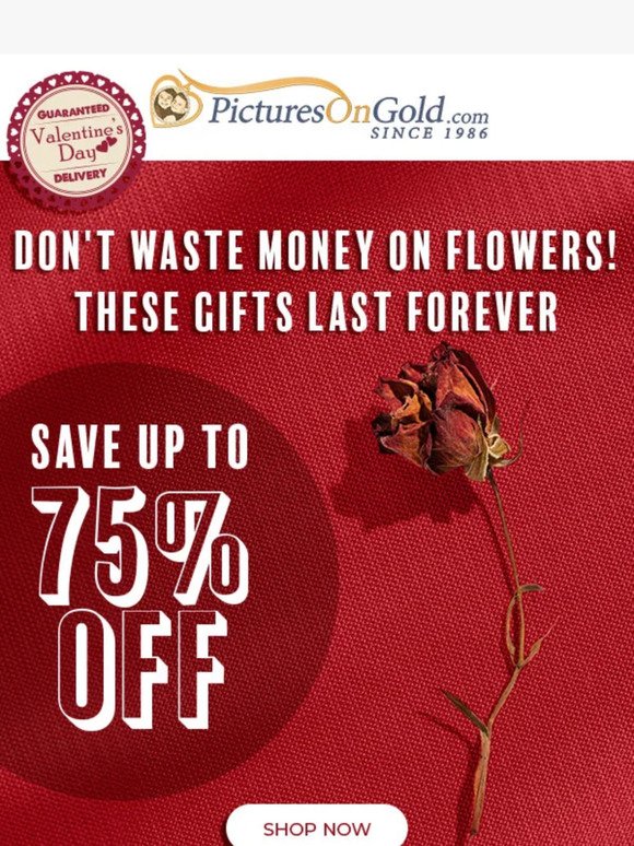 ❤️ Hey, Don't Waste Money on Flowers Again!