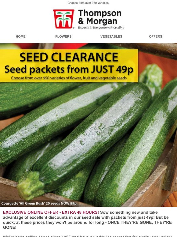 SEED CLEARANCE - from only 49p a packet! EXTRA 48 HOURS!