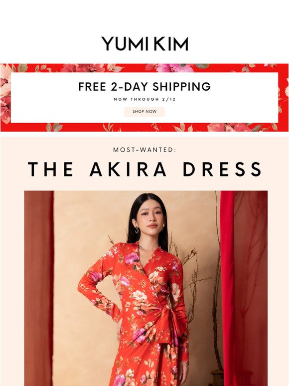 Most-Wanted: The Akira Dress
