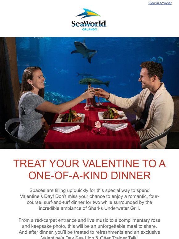 Surprise your Valentine with a Special Dining Experience