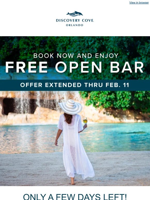 Final Days: Enjoy Our Free Open Bar!
