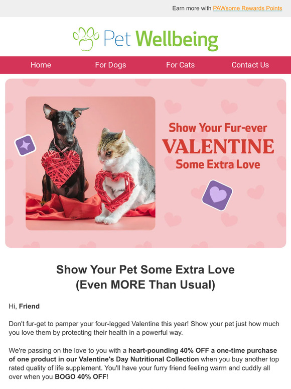 Pet Wellbeing Happy Valentine’s Day to You and Your Furry Valentine