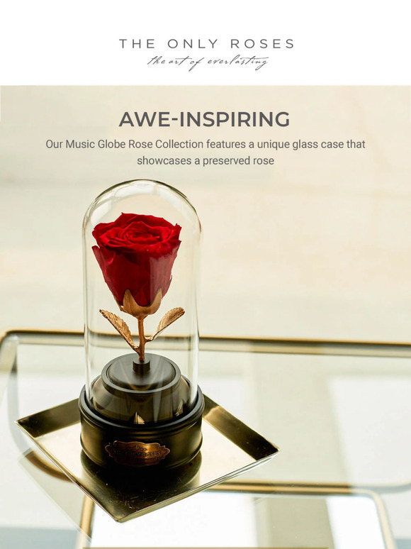 The Only Roses: Sing to their heart this Valentines Day | Milled