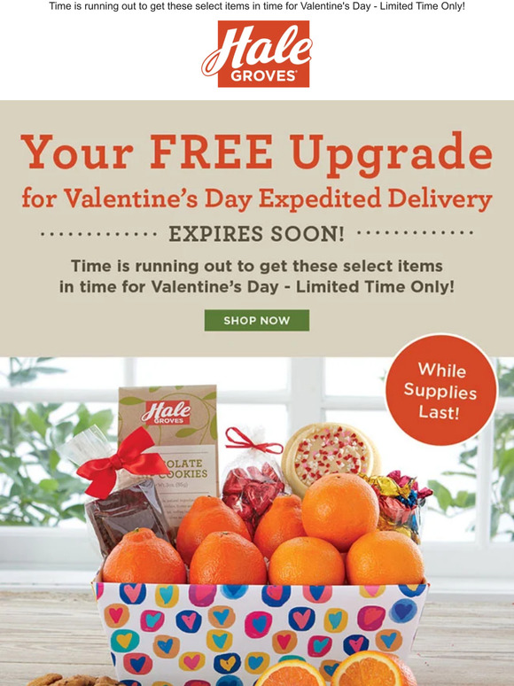 Hale Groves Your FREE Upgrade for Valentine's Day Expedited Delivery