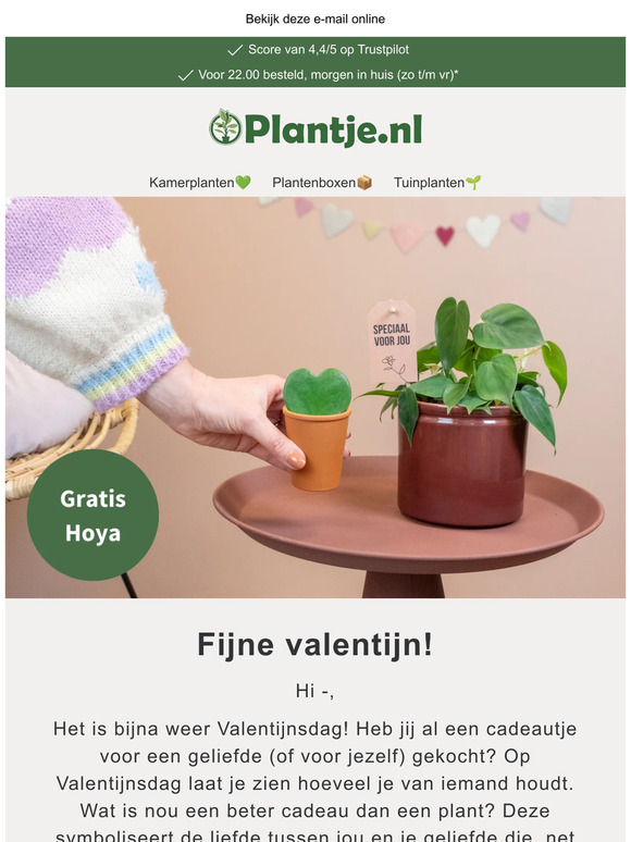 Gratis hartjesplant voor jouw valentijn 💚