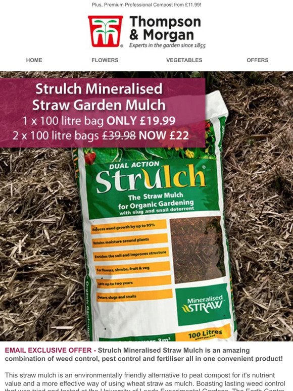 Weed Suppressing Strulch - Customer Favourite!