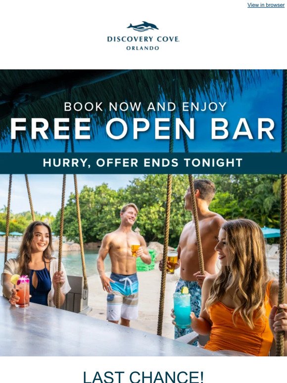 Final Hours: Free Open Bar!