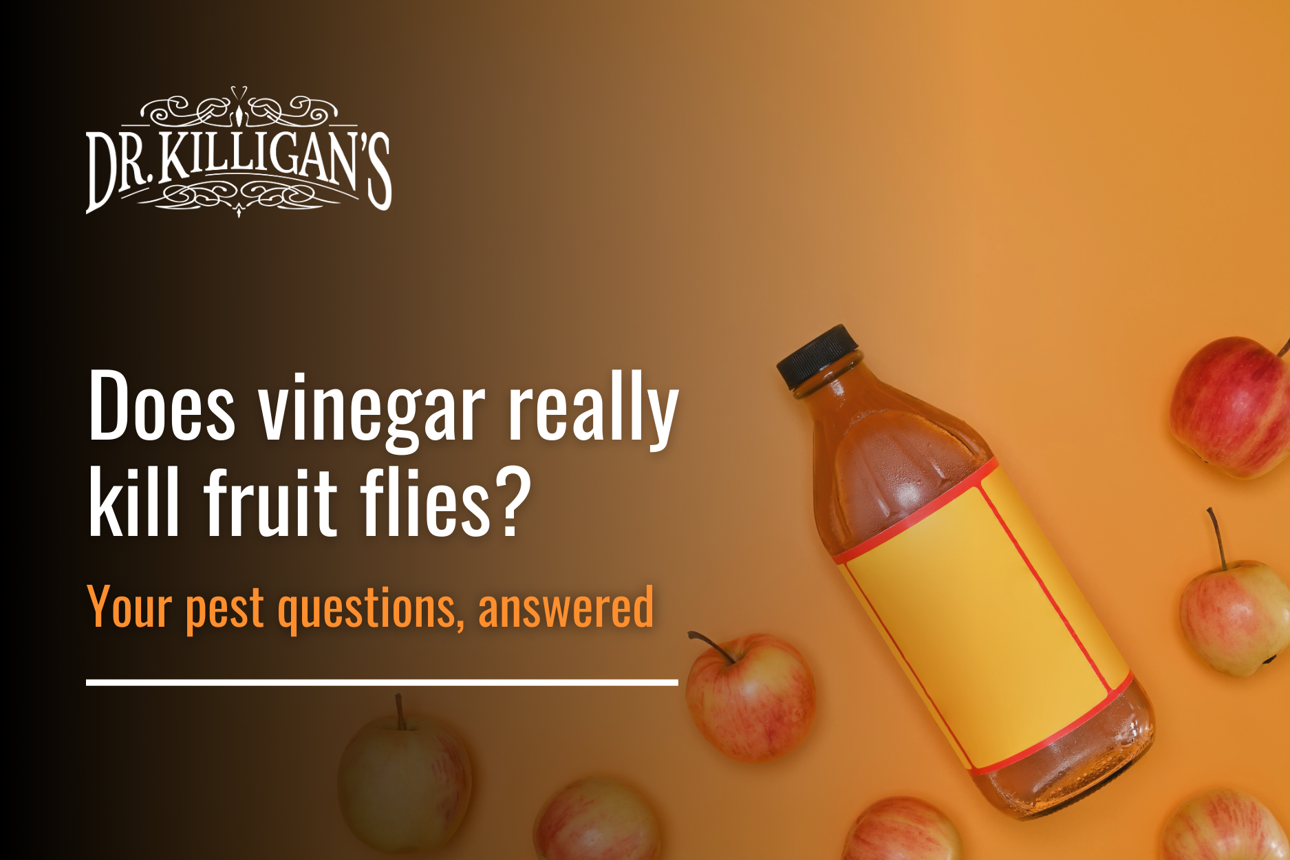 Dr. Killigan's NonToxic Pest Control Does vinegar really kill fruit