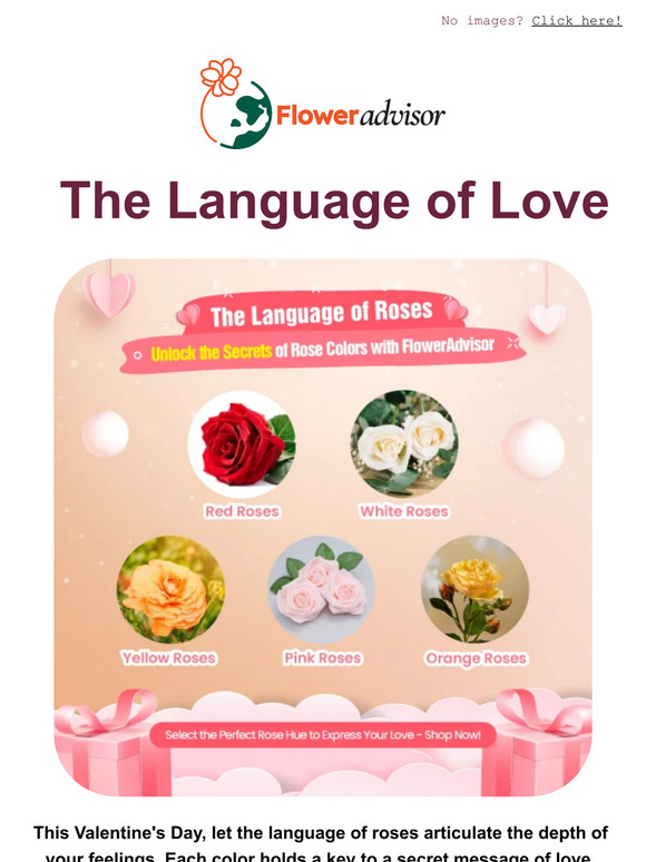 Send Love with Valentine's Roses: Every Color Tells a Story! 💗