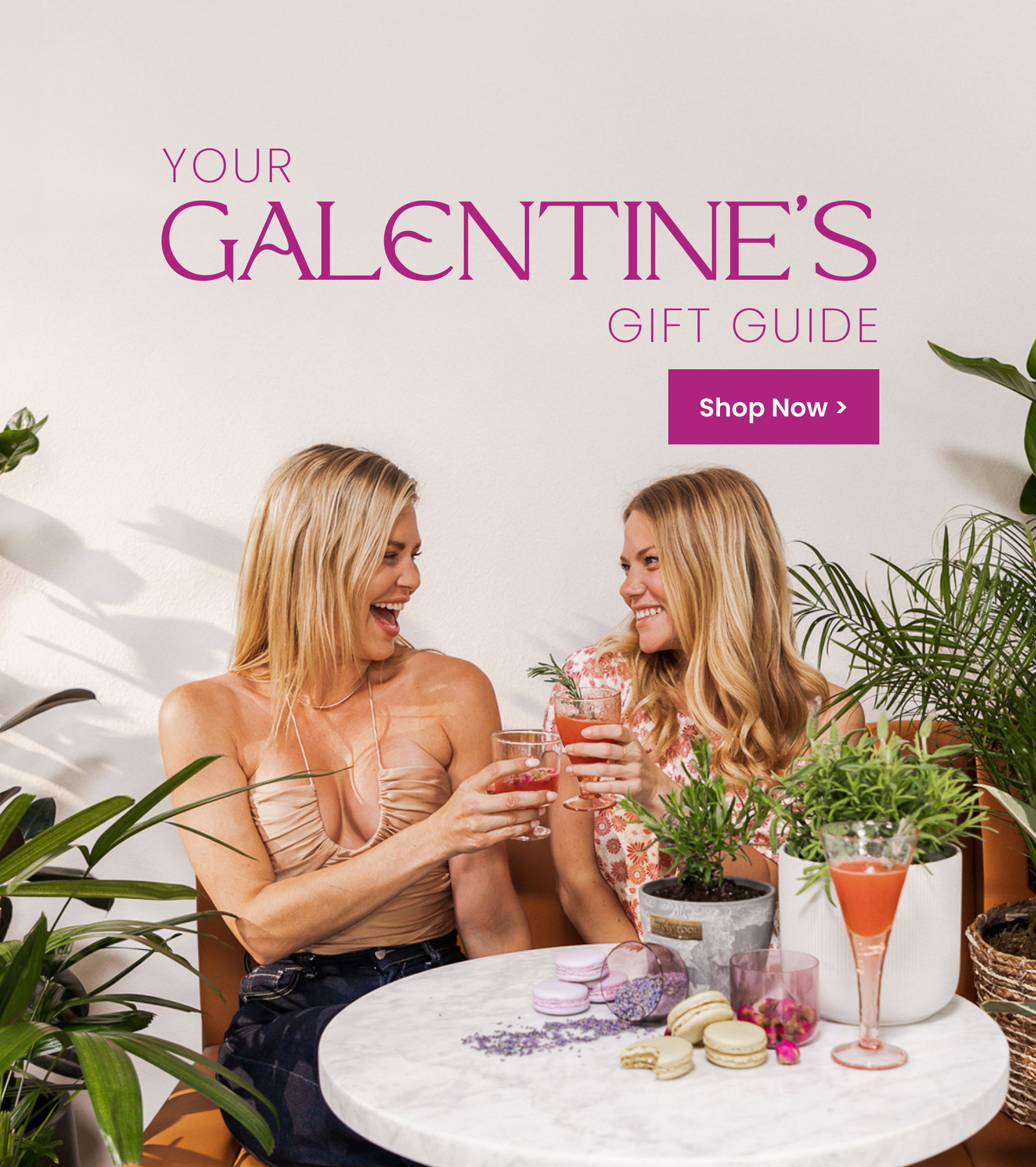 Shop Galentine's Day Plants