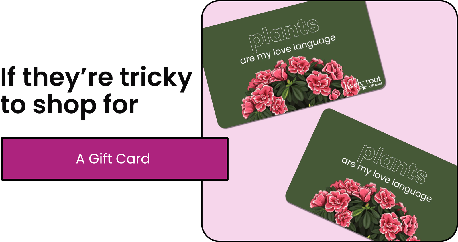 Lively Root Gift Card