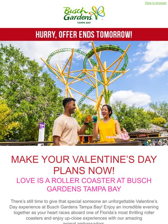 ❤️ You're Running Out of Time to Make Your Valentine’s Day Plans!