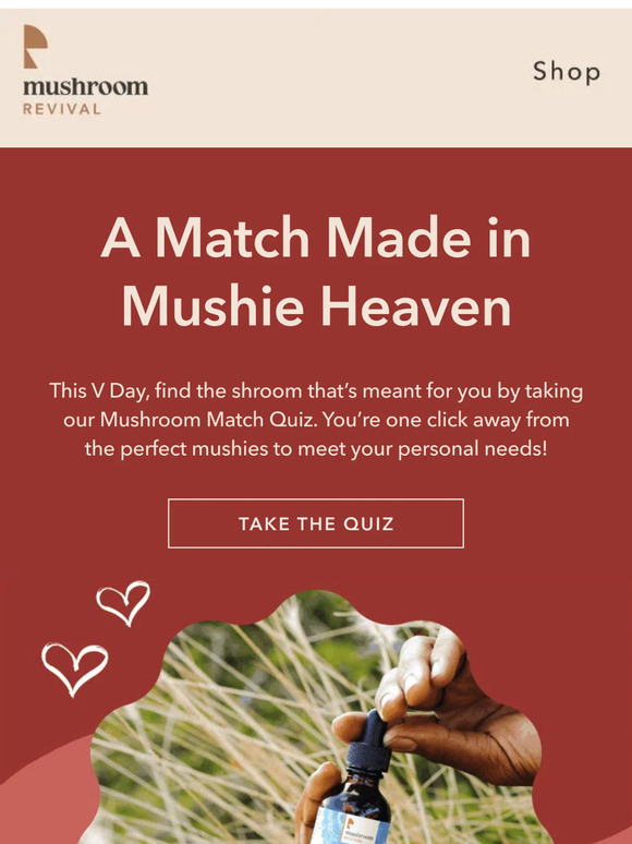 Mushroom Revival Meet Your Match Milled