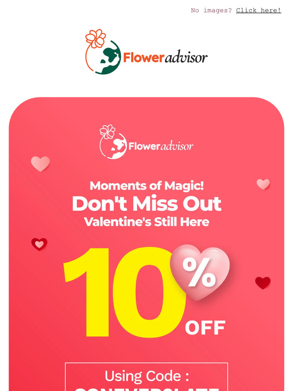 🌹Better Late Than Never!