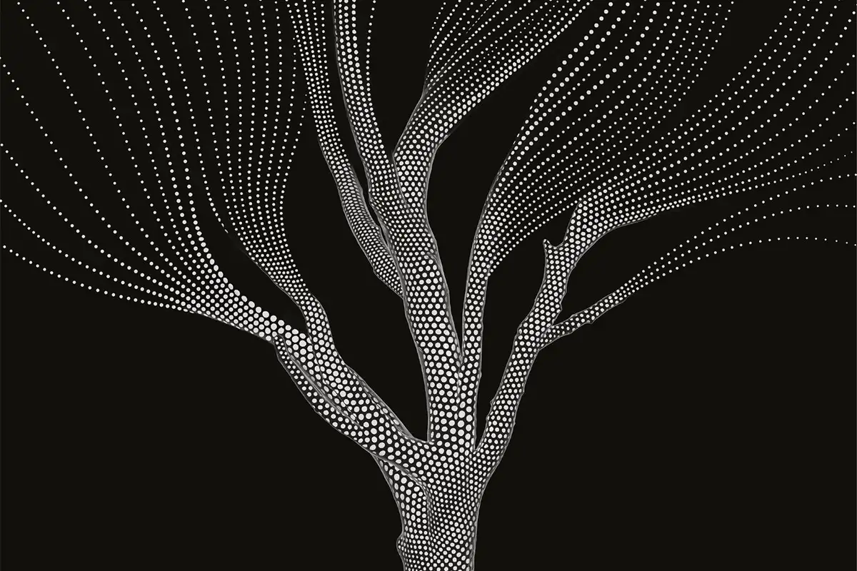 A bold new take on quantum theory could reveal how reality emerges. Image links to article.