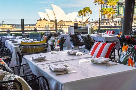 Scoopon: Sydney: Two or Three-Course Meal at The Rocks for Two | Milled