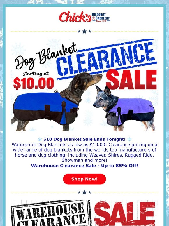🐶 $10 Dog Coat Sale Ends Tonight ❄️