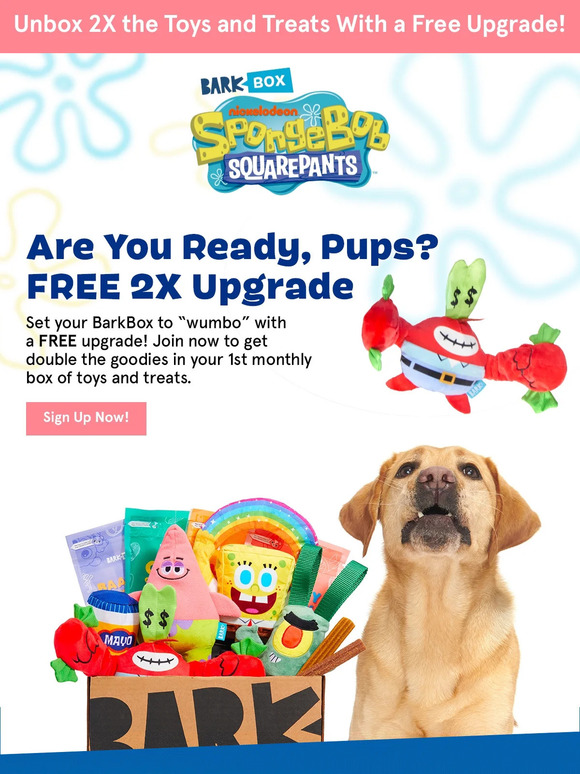 Super Chewer BarkBox EARLY ACCESS Exclusive Bikini Bottom upgrade 🍍