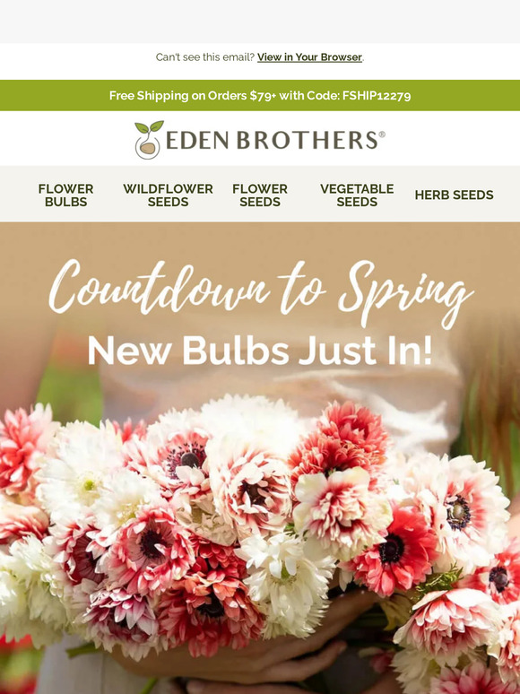Eden Brothers Seed Company 🌷 New Bulbs Just In! Milled
